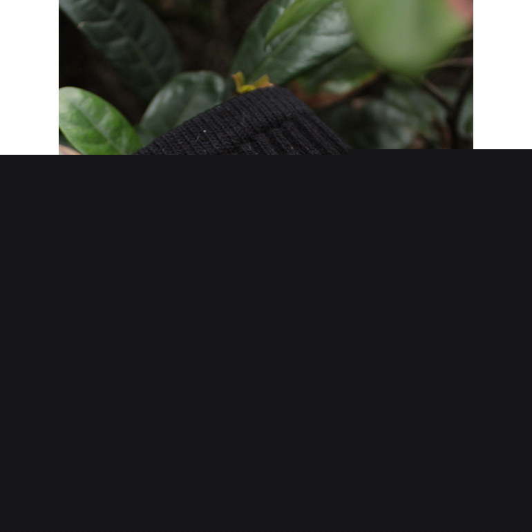 FOOTER 露營刺繡高筒登山襪 除臭襪 黑白 出國 滑雪 百岳(女-T210M) 6