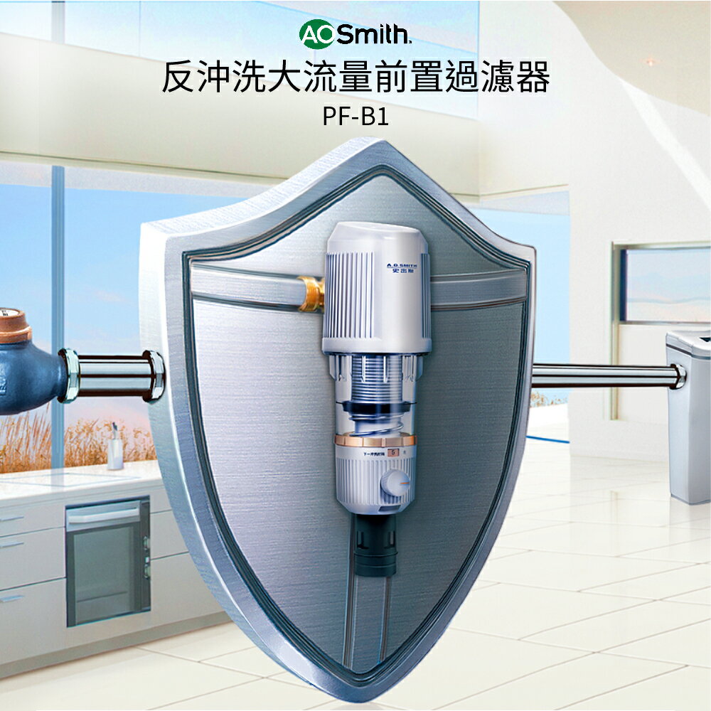 【AOSmith】AO史密斯 美國百年品牌 前置過濾器PF-B1 改善水質 保護熱水器 去除泥沙