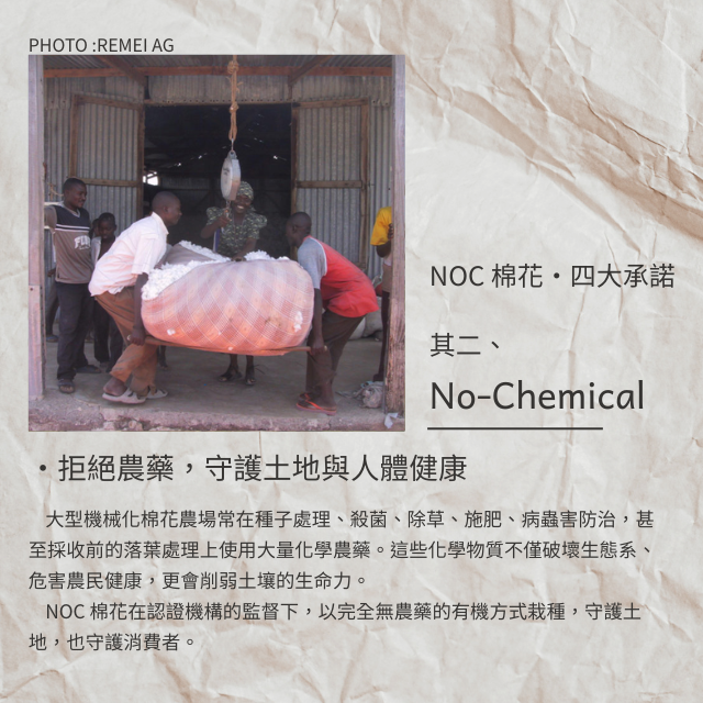 【日本SIGN-側邊條紋有機棉帽】 化療帽 術後帽子 醫療用帽 日本原裝│愛德蘭絲官方旗艦店 7 【日本SIGN-側邊條紋有機棉帽】 化療帽 術後帽子 醫療用帽 日本原裝│愛德蘭絲官方旗艦店 7