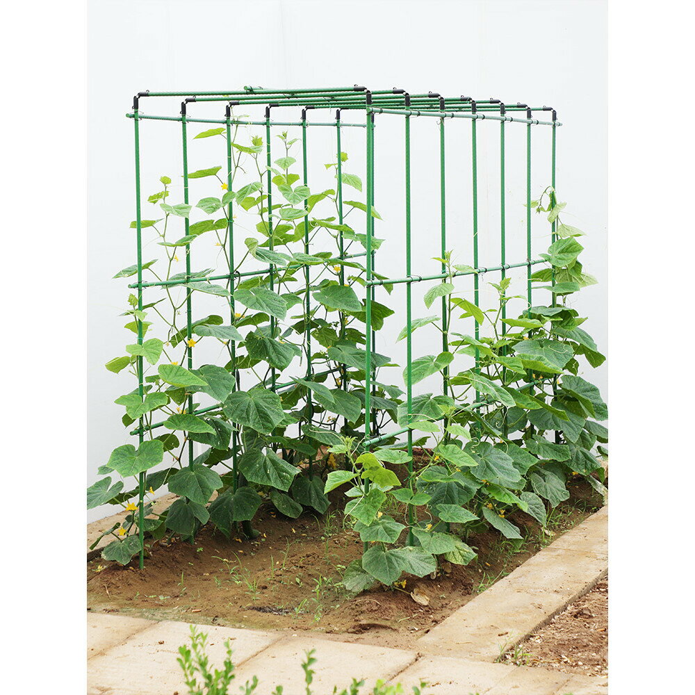 爬藤架 葡萄黃瓜豆角西瓜架 絲瓜種菜庭院花卉植物支撐桿 瓜棚搭架子 爬藤植物支撐架 園藝花架 花園陽臺爬架 大型葡萄架