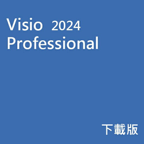 MS Visio 2024 專業版