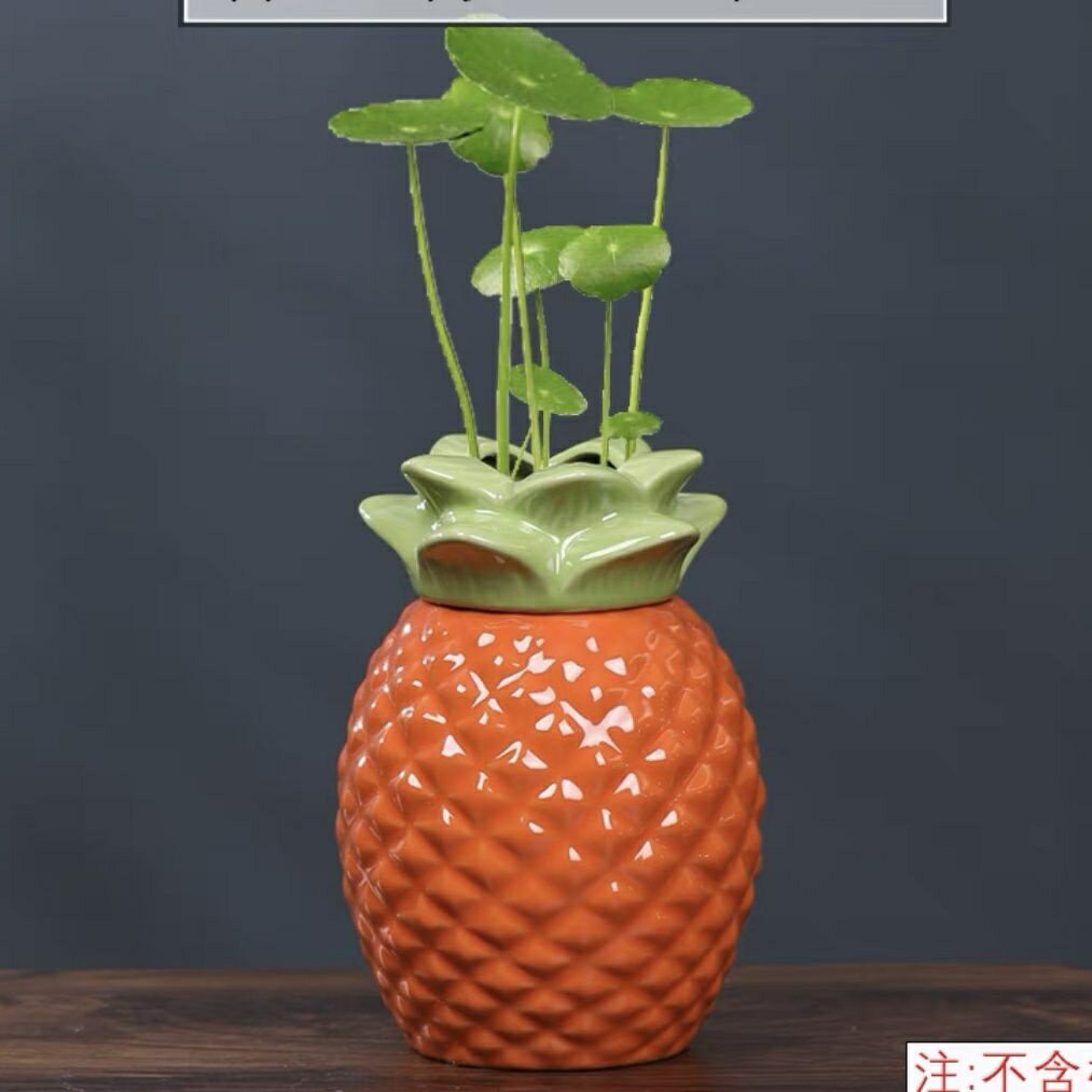 【優選百貨】綠蘿水培 花盆 器皿 花瓶透明玻璃 插花創意水養植物花器客廳裝飾 擺件