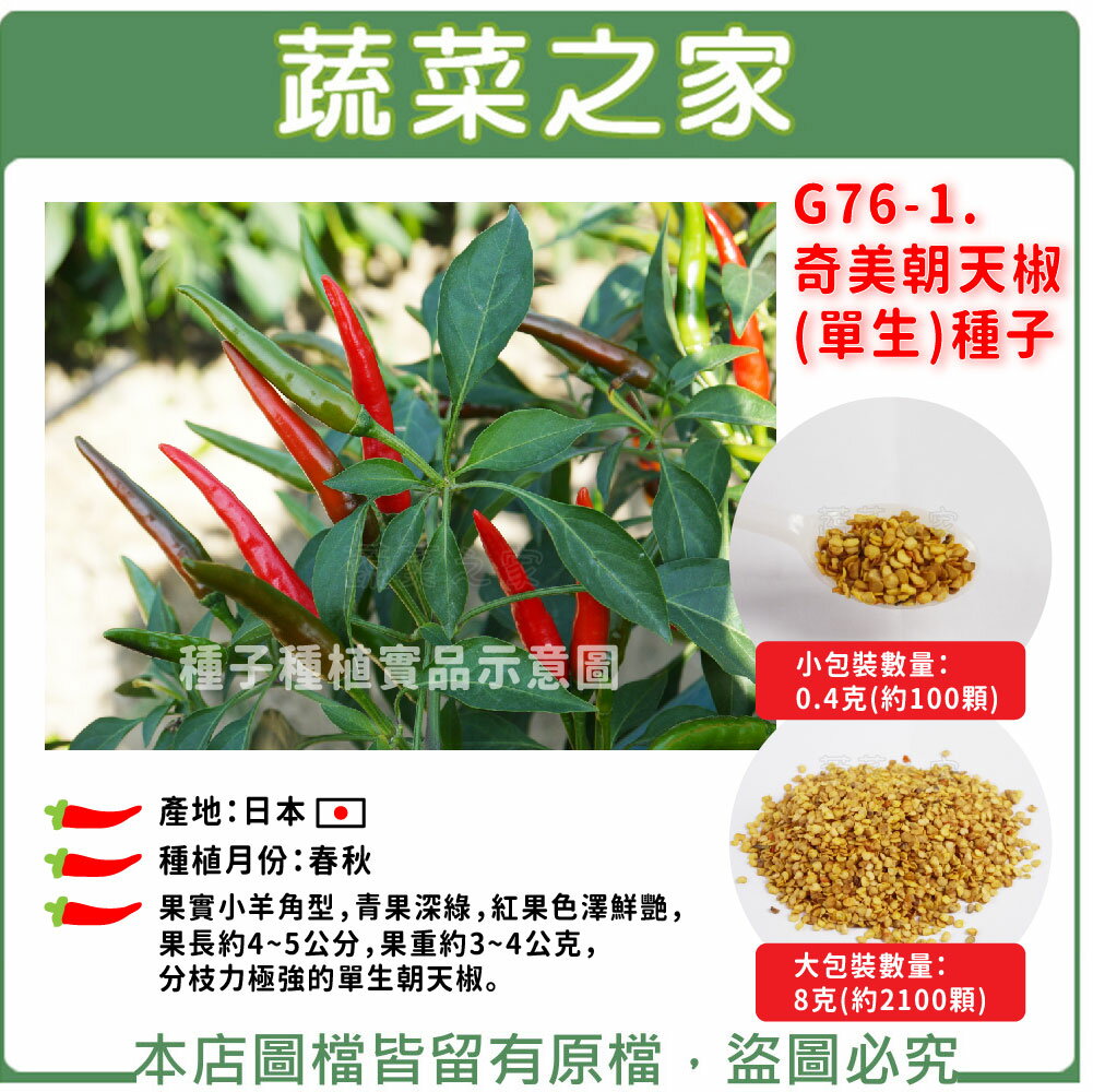 【蔬菜之家】G76-1.奇美朝天椒(單生)種子(共有2種包裝可選)