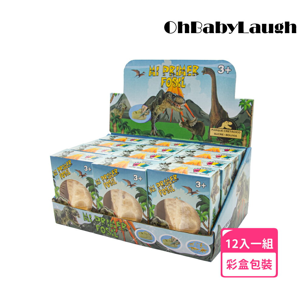 【OhBabyLaugh】挖掘考古玩具-恐龍化石