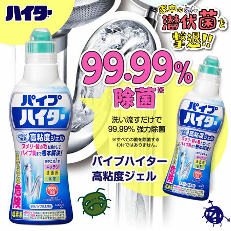 日本 KAO 花王 Haiter 排水管清潔劑 500g 清潔 除臭 消臭 除菌 排水管專用【N100996】