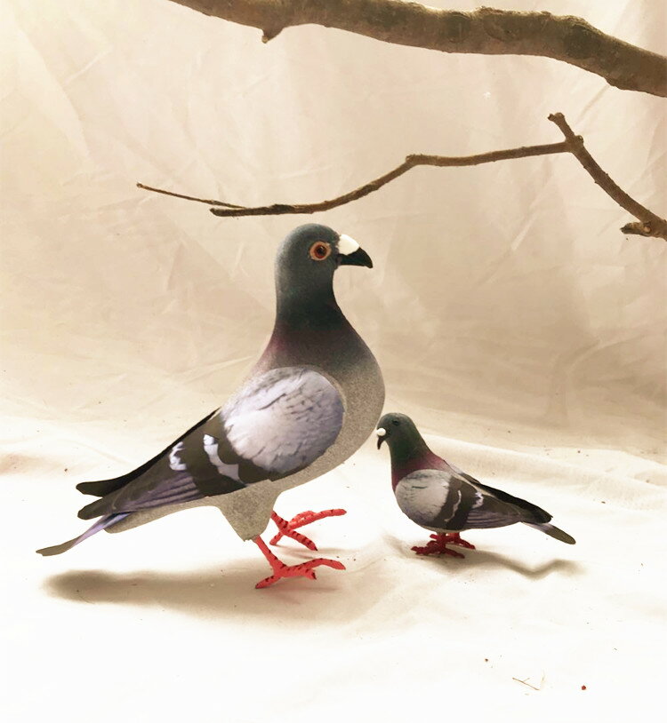 動物模型 仿真信鴿 斑鳩灰鴿子野鴿子道具攝影園林配飾擺件玩具