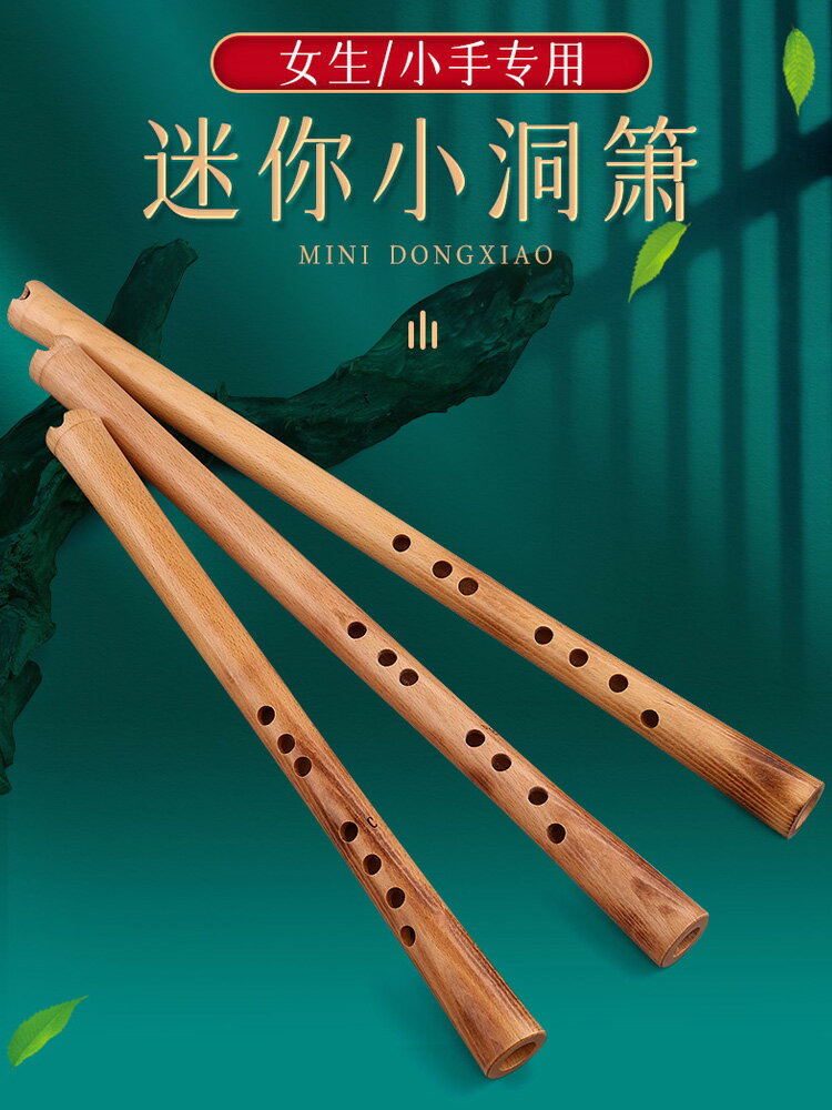 玄鶴櫸木洞簫樂器八孔初學入門專業演奏級f調短簫g調古風短蕭笛瀟