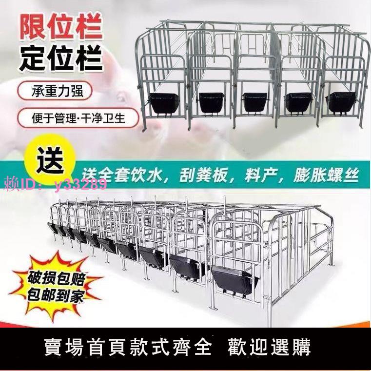 母豬定位欄加厚母豬限位欄豬圈漏糞熱鍍鋅養殖裝置器械豬用限位欄