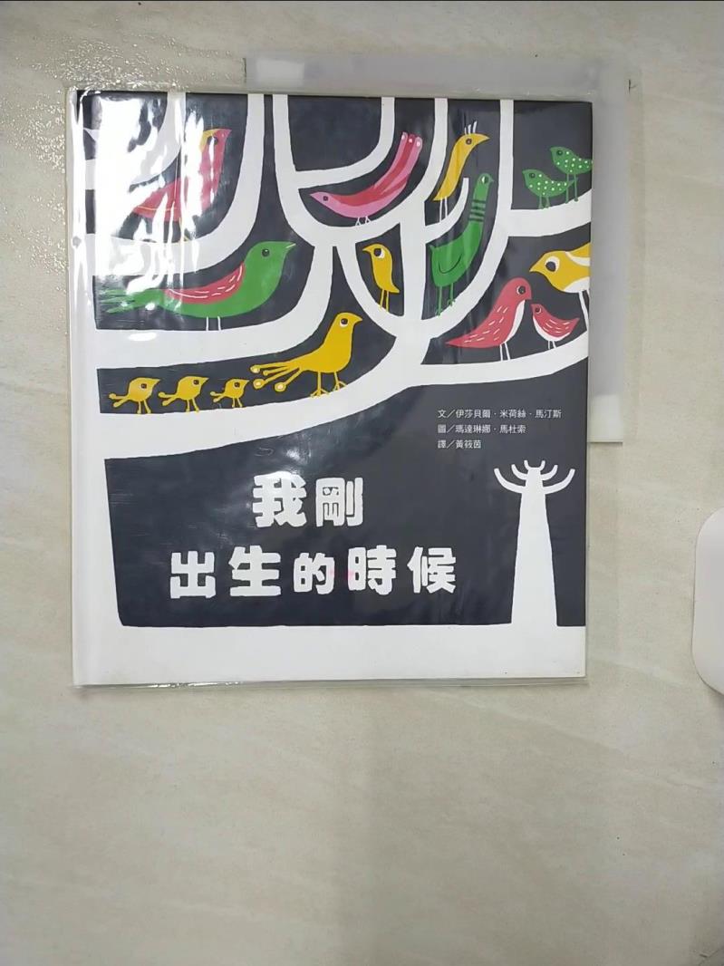 【書寶二手書T1／少年童書 FKM】我剛出生的時候 伊莎貝爾‧米荷絲‧馬汀斯