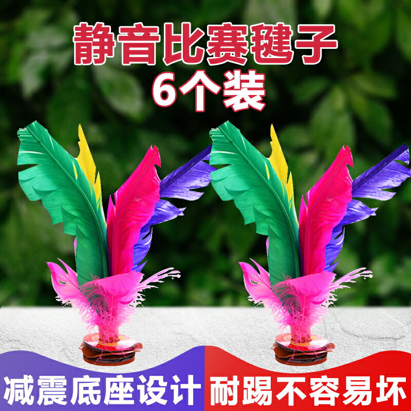 羽毛毽子健身兒童小學生耐踢腱子比賽專用花毽成人減肥鍵球雞毛鍵