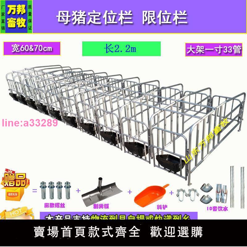 {可開發票}母豬定位欄限位欄加厚國標熱鍍母豬產床仔豬保育床養豬裝置包郵