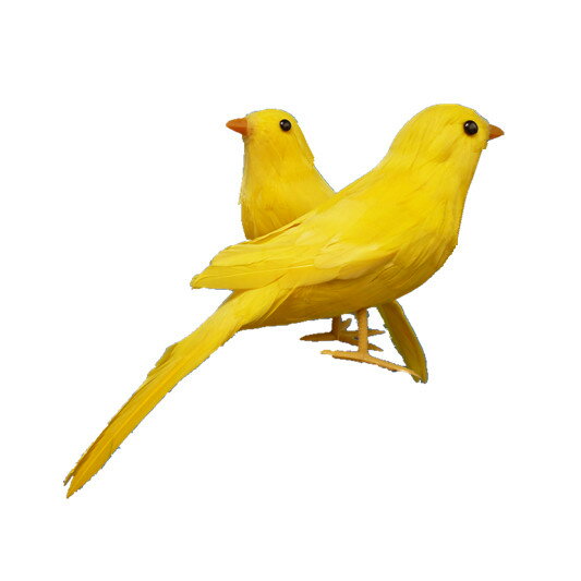 動物模型模擬喜鵲 泡沫羽毛黃玉鳥彩色金絲雀 模擬鳥攝影道具玩具