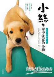 小絲,命中注定的小狗:介助犬改變我一生