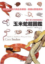 玉米蛇超圖鑑：簡單了解玉米蛇的飼養要訣