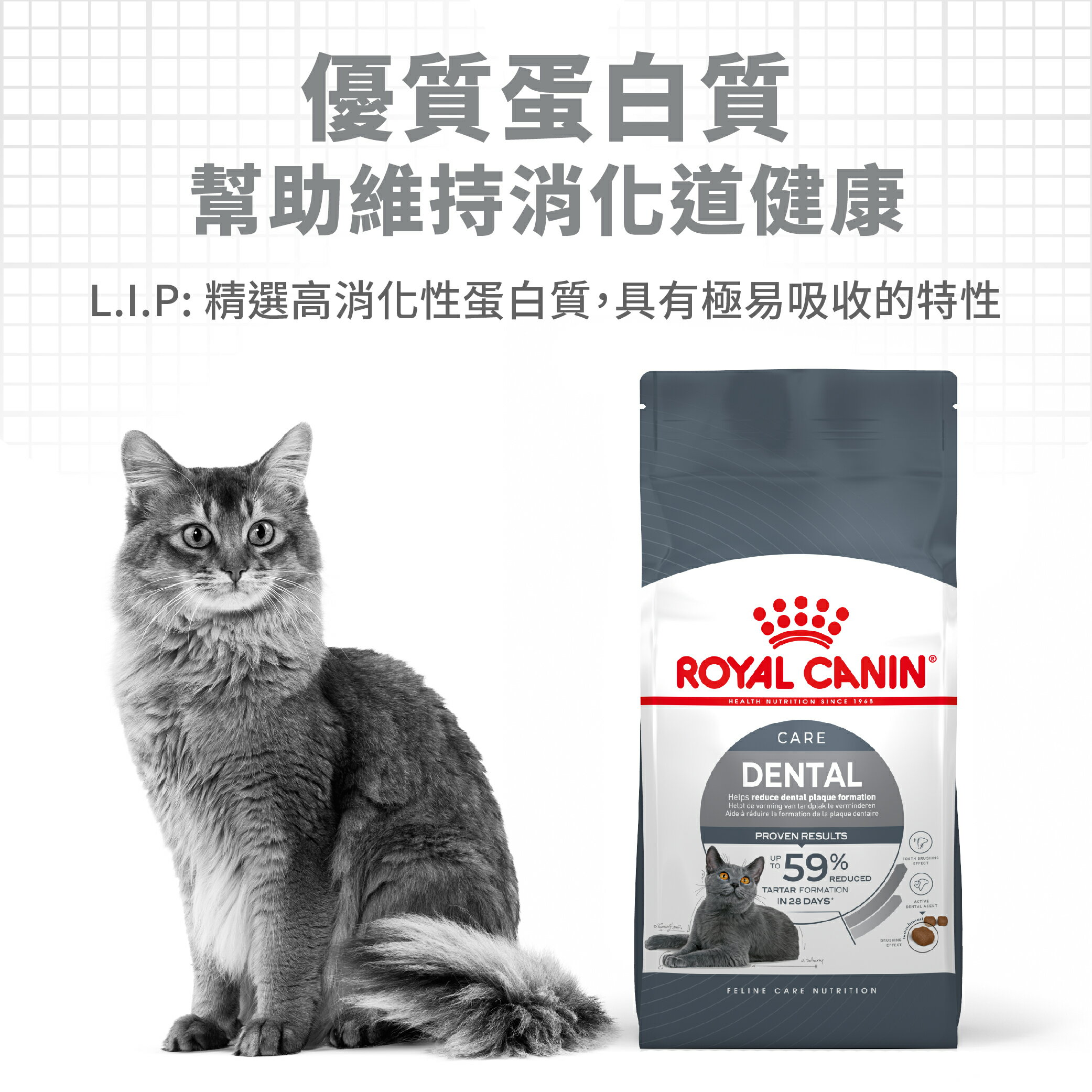 法國皇家ROYAL CANIN 【O30潔牙保健】成貓專用飼料 1.5kg /3.5KG 有助於幫助控制進食期間齒垢堆積 2 法國皇家ROYAL CANIN 【O30潔牙保健】成貓專用飼料 1.5kg /3.5KG 有助於幫助控制進食期間齒垢堆積 2