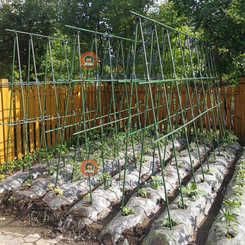 種菜架子豆角黃瓜爬藤架 葡萄架包塑鋼管植物支架【淘夢屋】