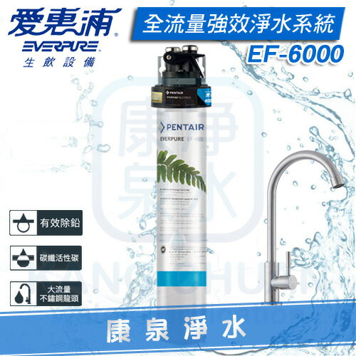 ◤免費安裝◢ EVERPURE 台灣愛惠浦全流量強效碳纖維系列淨水器 PURVIVE EF-6000