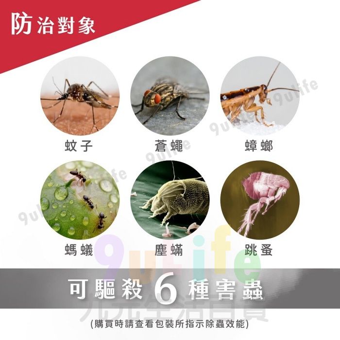 【九元生活百貨】必安住 水蒸式殺蟲劑 殺螨滅蟑劑 家庭清消 水蒸式 水煙式 殺蟲劑 防治塵螨 蟑螂 跳蚤 螞蟻 蚊子 蒼蠅 6