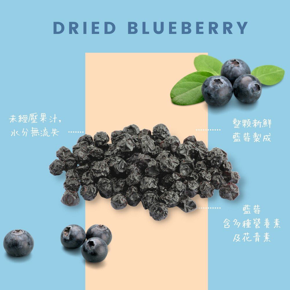 【歐納丘】天然藍莓乾 (60g/袋) 3