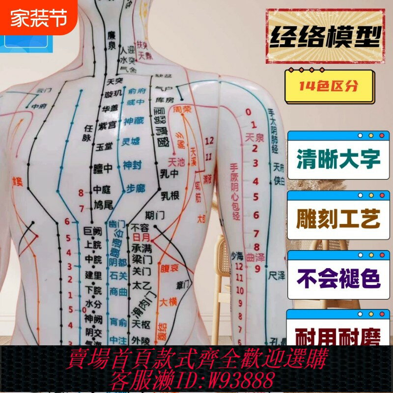 {臺灣公司貨 可打統編}中醫針灸人體模型男女全身十二經絡小皮人人圖扎針銅人人模可按摩