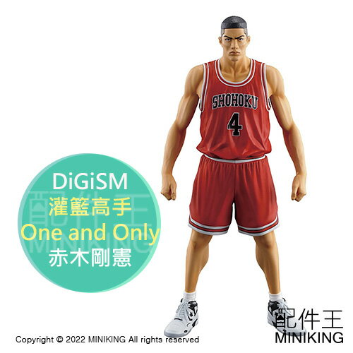 日本代購 空運 DiGiSM One and Only 灌籃高手 SLAM DUNK 公仔 模型 赤木剛憲 170mm