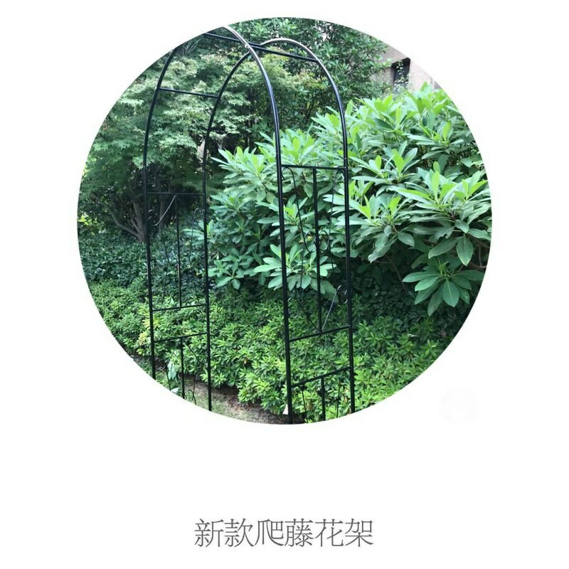 開發票 爬藤架 花支架爬藤支架花盆支架 歐式拱形花架 月季植物花支架 藤架 牽引鐵綫蓮爬藤架戶外拱門 7