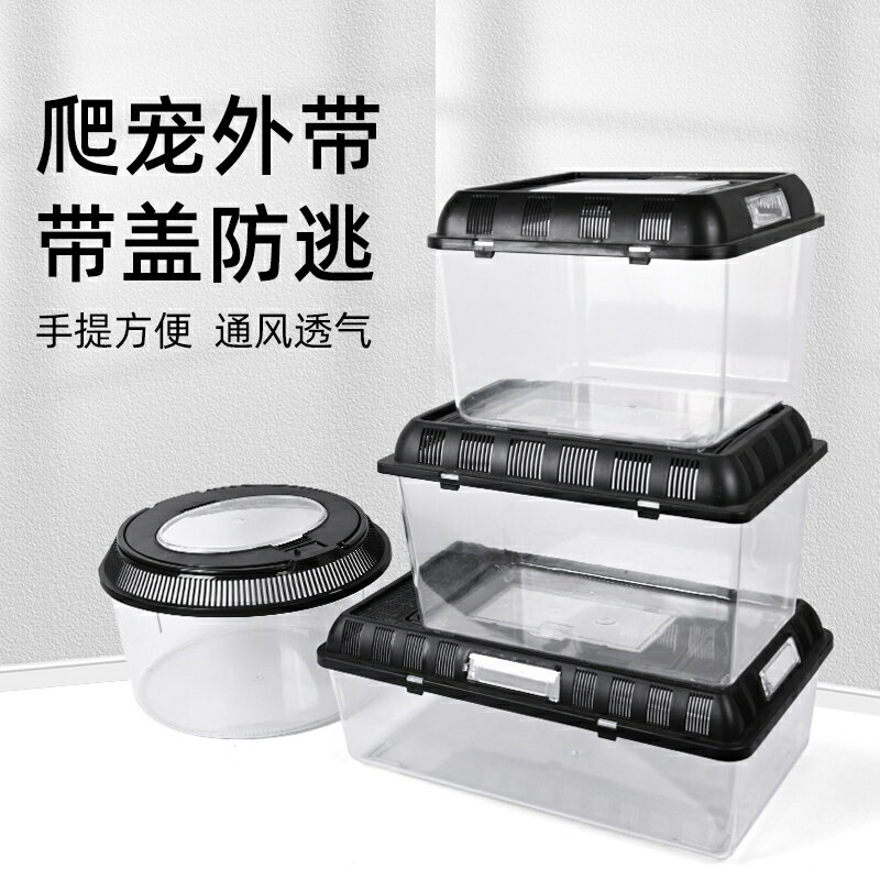 貨  可開票 爬寵飼養箱手提帶蓋子亞克力爬蟲飼養盒烏龜角蛙螃蟹蜘蛛寵物養殖 出貨
