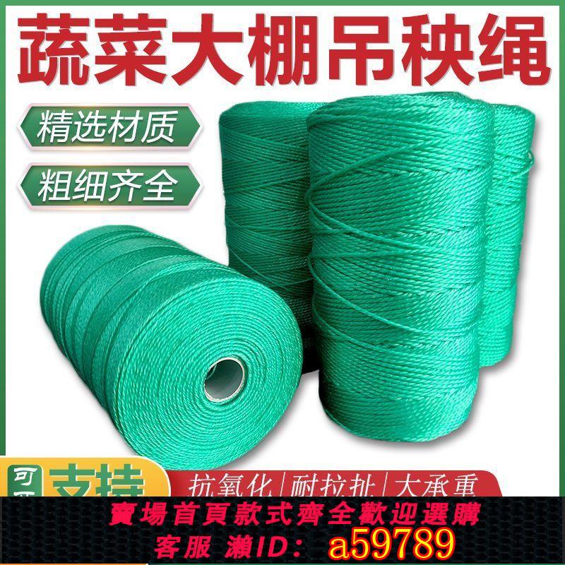 【臺灣公司 可打統編】吊秧繩黃瓜西紅柿蔬菜大棚吊蔓繩尼龍繩耐磨農用抗老化吊繩塑膠繩