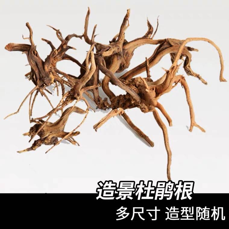 魚缸攀爬裝飾沉木杜鵑根魚缸擺件生態躲避物爬蟲造景寄居蟹