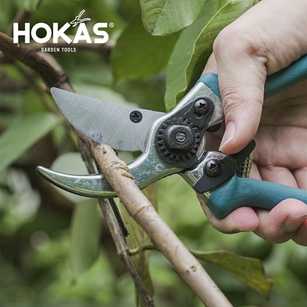 【HOKAS】鋁柄園藝剪 (剪定鋏 樹枝剪刀 居家型修枝剪 居家型花剪 果樹剪 ) S810 7