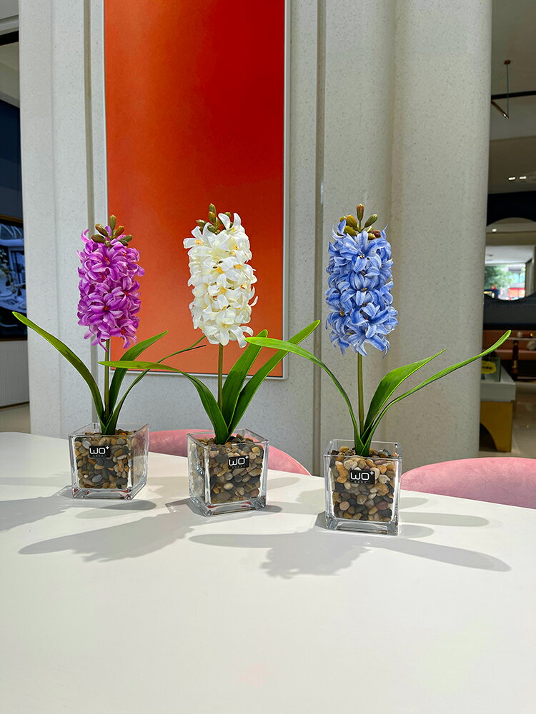 wo+仿真假花風信子盆栽3D手感洋水仙花絹布客廳茶幾陽臺樣板擺件
