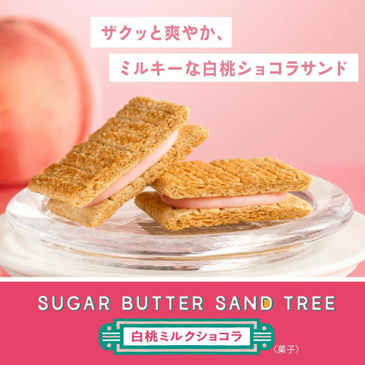 砂糖奶油樹 綜合餅乾(原味、白桃) 21包入 東京特產 Sugar Butter Tree 砂糖奶油樹 穀物 巧克力 菓子 綜合 禮品 點心 甜點 人氣 特產 混裝 日本必買 | 日本樂天熱銷 5