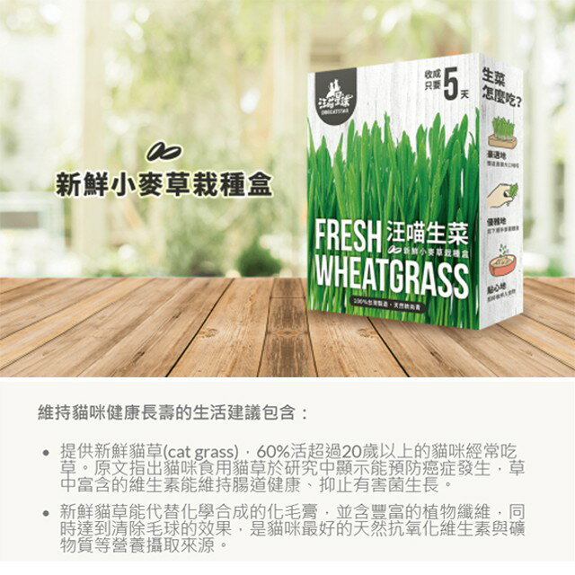 汪喵星球 貓草新鮮栽培盒 貓咪生菜 種植貓草 4