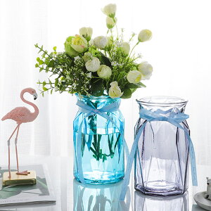 客廳北歐干花插花水培綠蘿植物透明玻璃瓶 家用擺件創意簡約花瓶