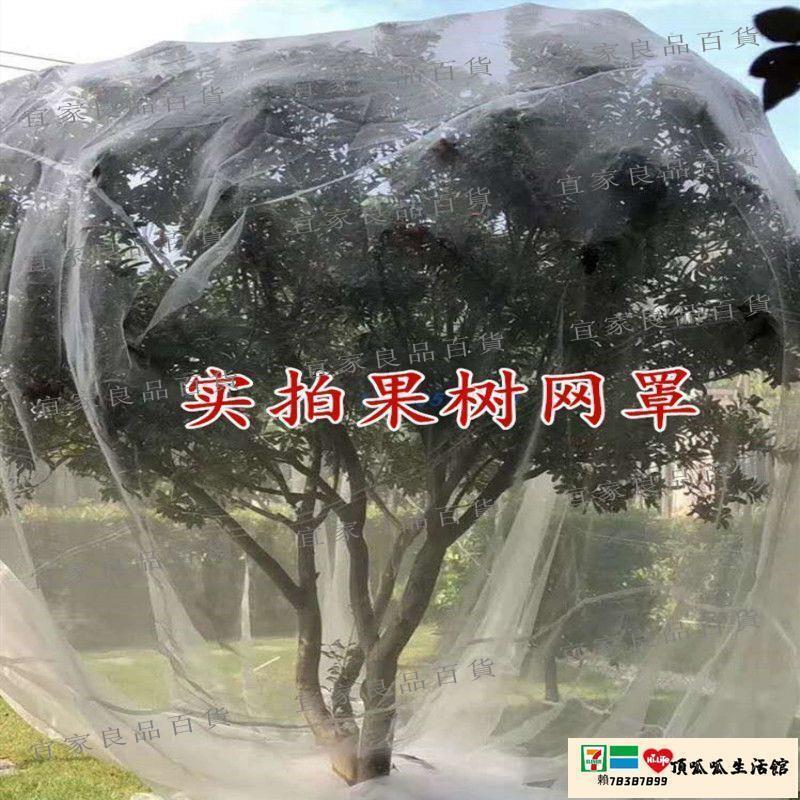 【宜家良品百貨】防鳥網 果樹防蟲網罩蔬菜大棚櫻桃楊梅園防鳥網紗網蓮霧防護網櫻桃樹紗網