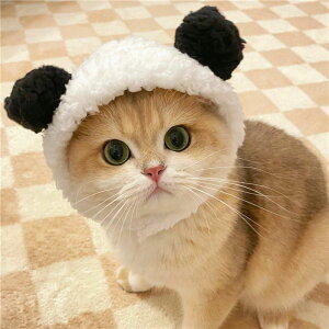 寵物帽子貓咪頭套可愛小熊頭飾小型犬狗狗青蛙獅子花朵頭飾兔耳朵