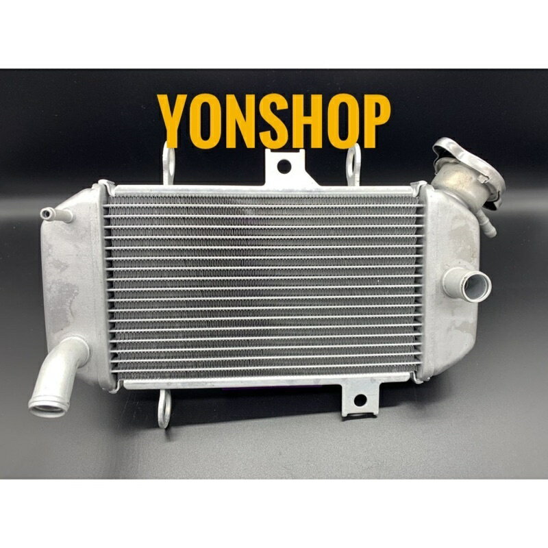 Exciter 135 - 150 汽車散熱器組,優質產品,1 型