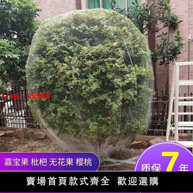 【臺灣公司 超低價】新款果樹防鳥罩嘉寶果枇杷櫻桃藍莓果園尼龍防護網菜地陽臺保護罩