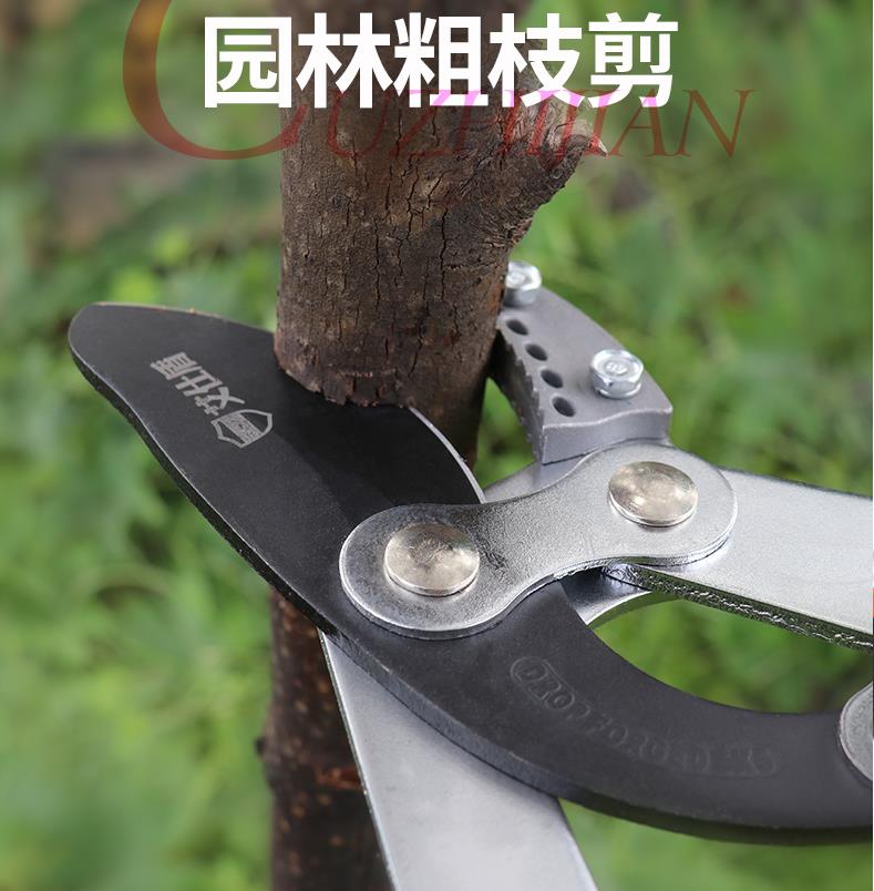 高空修枝剪 園藝剪工具 園林強力修剪粗樹枝高空高枝修枝剪枝果樹省力園藝大力伸縮大剪刀