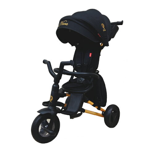 德國 QPlay Nova Rubber 兒童多功能手推車/三輪車/滑步車 2