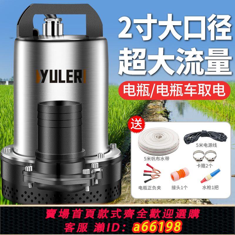 【臺灣公司 可開發票】直流潛水泵48V72V電動車電瓶電動抽水泵小型澆水大流量抽水神器