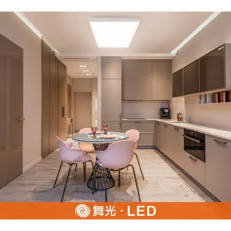 舞光 LED 4尺*2尺 / 4尺*1尺 雙節標柔光 平板燈 輕鋼架燈 D-41PD25D-EGR1 D-42PD45D-EGR1 (A Light) 1