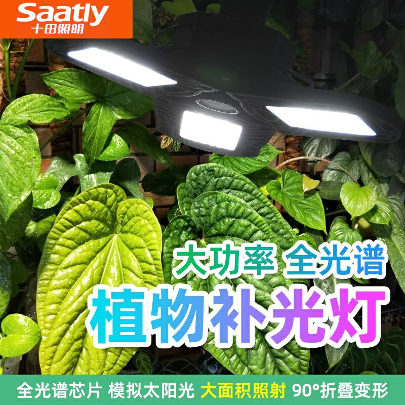 免運 可開票 生長燈 植物生長燈 補光燈 燈管 全光譜植物補光燈led專業級熱植綠植海芋花卉上色大瓦數陽臺家用