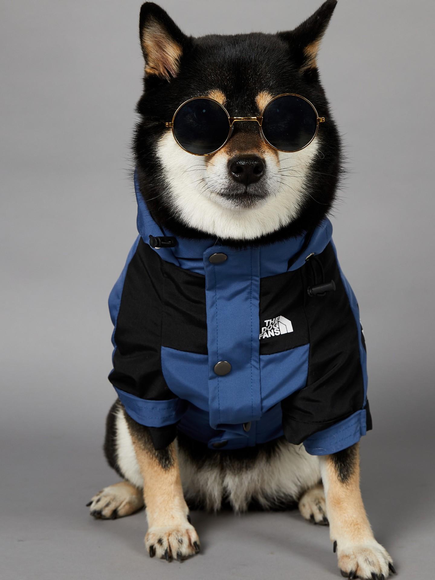 潮牌狗狗沖鋒衣防水防風衣服寵物小中大型犬雨衣柴犬邊牧狗狗衣服
