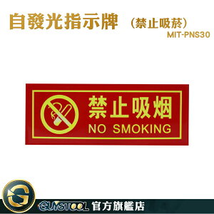 GUYSTOOL 夜光指示牌 不吸煙標識牌 禁煙標誌 PNS30 禁止吸菸 NO SMOKING 標語貼紙 防水貼纸