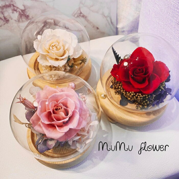 10cm 永生花夜燈