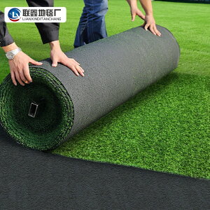 仿真草坪地毯假草皮戶外人造綠色裝飾工程圍擋綠化室外足球場草地