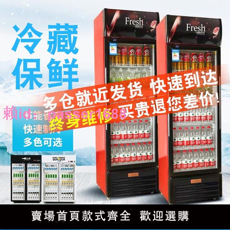 蔬菜冷藏柜展示柜立式冰柜商用保鮮柜啤酒柜單雙門超市冰箱飲料柜