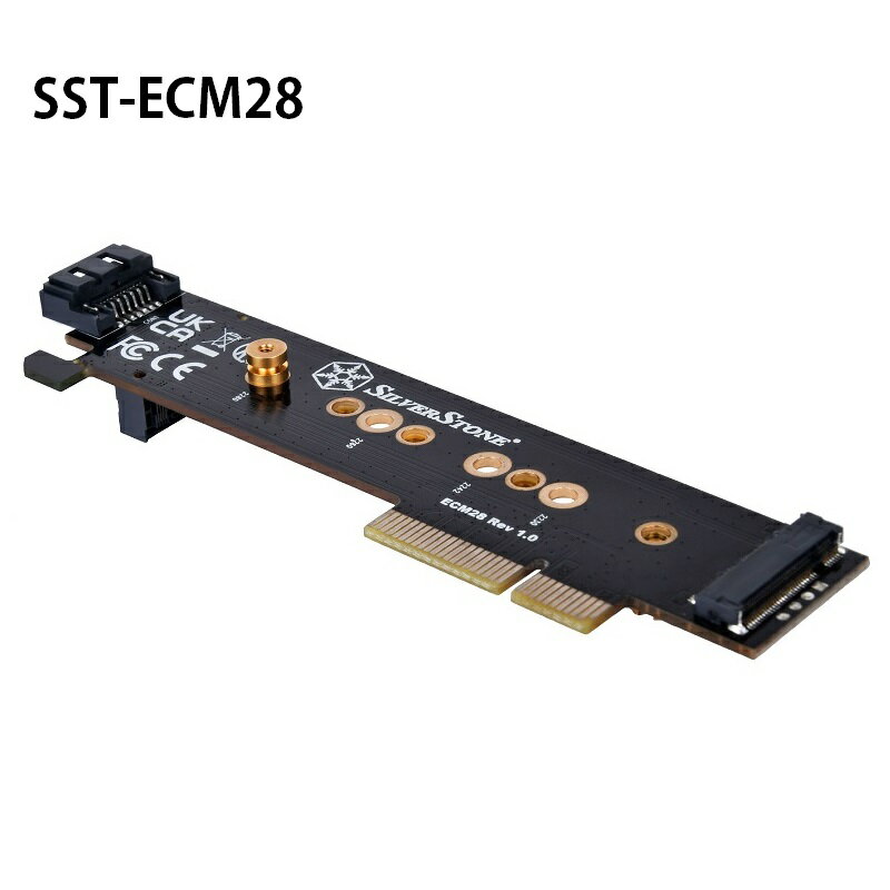 【最高現折268】SilverStone 銀欣 ECM28 NVMe SSD SATA M.2 SSD轉PCIex4 1U轉接卡/SST-ECM28