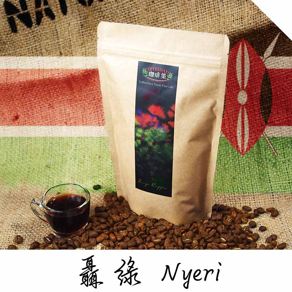 【咖啡集CoffeeDays】 肯亞AB 聶綠Nyeri咖啡豆(450g/半磅x2入)